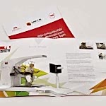 bama-katalog2