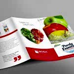 boga-pazarlama-purely-flyer
