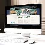 udea-web-tasarim